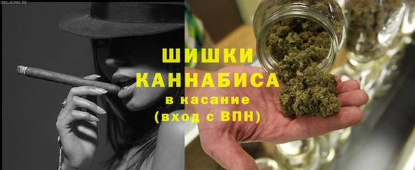дмт Арсеньев
