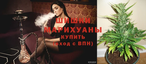 дмт Арсеньев