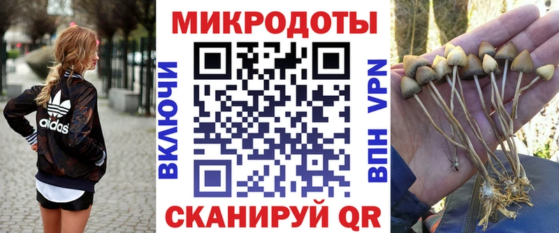 купить наркоту  KRAKEN tor  Псилоцибиновые грибы Psilocybe  Фролово 
